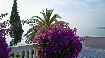 MarBella, Mar-Bella Collection
