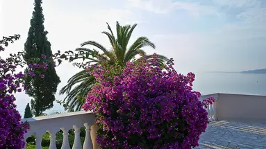 MarBella, Mar-Bella Collection