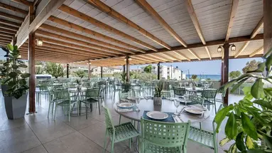 Mare Garden