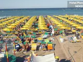 Mare Home