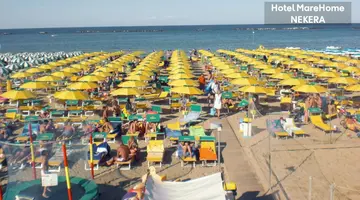 Mare Home