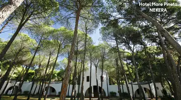 MARE PINETA HOTEL