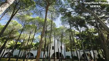 MARE PINETA HOTEL
