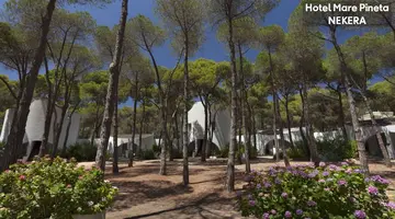 MARE PINETA HOTEL