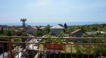 Margarita