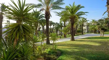 Marhaba Occidental