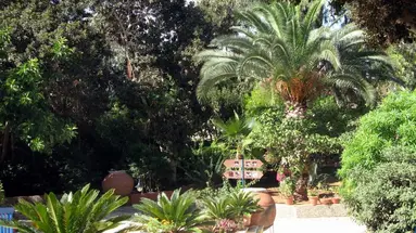 MARINA HOTEL