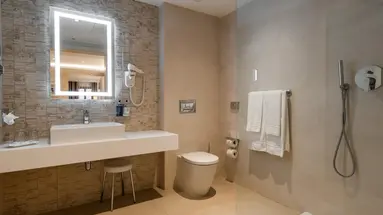 Maritim Antonine Hotel & Spa