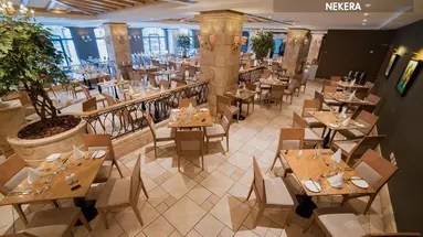 MARITIM ANTONINE HOTEL