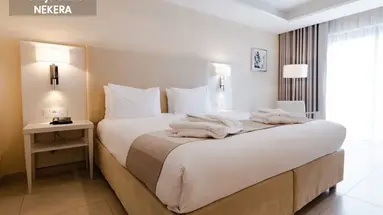 MARITIM ANTONINE HOTEL