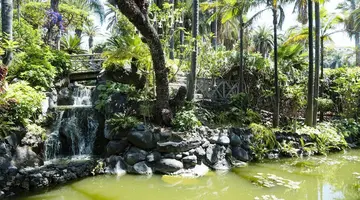 Maritim Hotel Tenerife