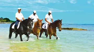 Maritim Resort and Spa
