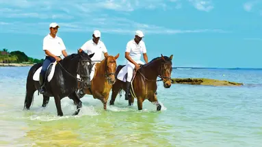 Maritim Resort and Spa