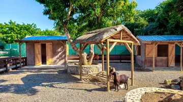 Maritim Resort & SPA
