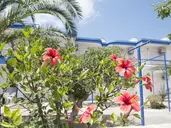 Maritsa Studios