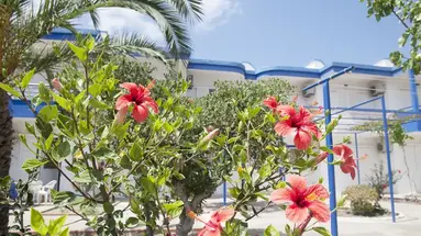 Maritsa Studios