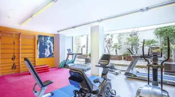 Marivent Be Live Adults Only