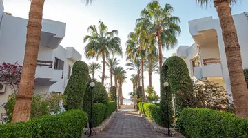 MARLIN INN AZUR RESORT