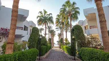MARLIN INN AZUR RESORT
