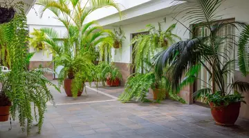 Marquesa