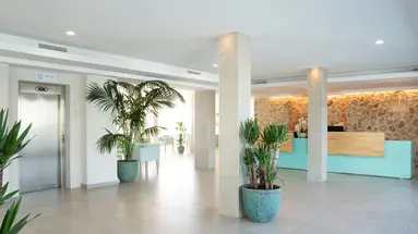 MARSENSES FERRERA BLANCA (ADULTS ONLY 18+)