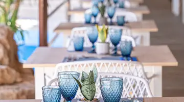 MARSENSES FERRERA BLANCA (ADULTS ONLY 18+)