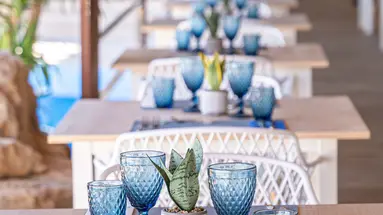 MARSENSES FERRERA BLANCA (ADULTS ONLY 18+)