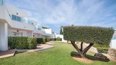 MARSENSES FERRERA BLANCA (ADULTS ONLY 18+)