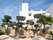 MARSENSES FERRERA BLANCA (ADULTS ONLY 18+)