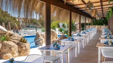 MARSENSES FERRERA BLANCA (ADULTS ONLY 18+)