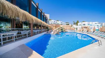 Marsenses Ferrera Blanca Adults Only
