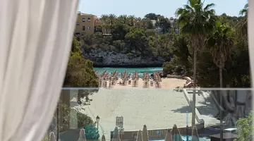 Marsenses Ferrera Blanca Adults Only