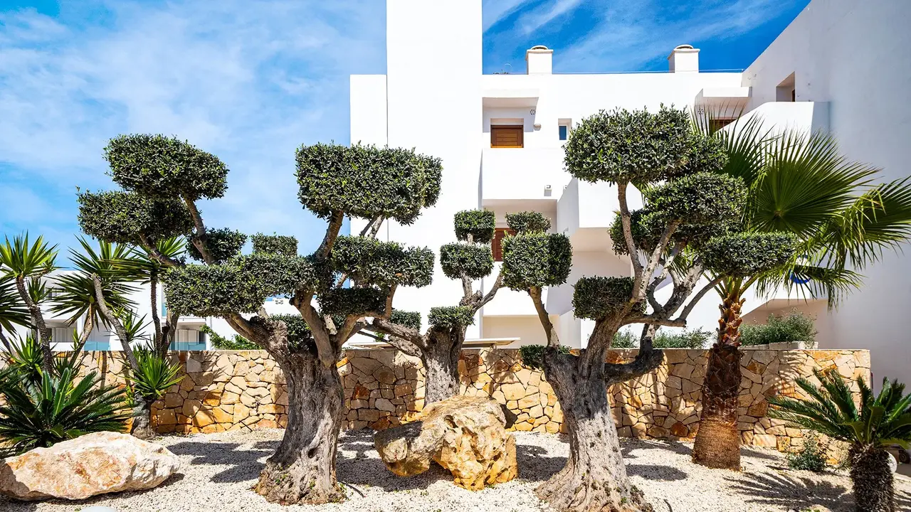Marsenses Ferrera Blanca Hotel Family