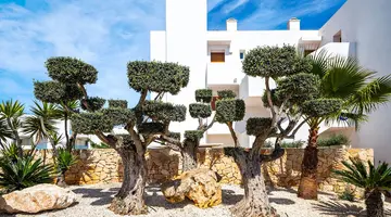 Marsenses Ferrera Blanca Hotel Family