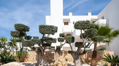 MarSenses Ferrera Blanca Hotel Family