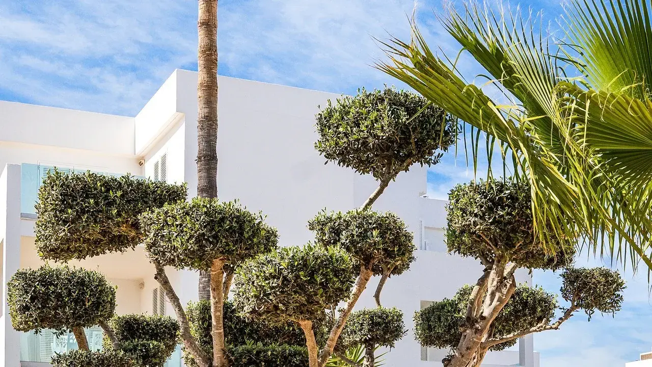Marsenses Ferrera Blanca Hotel Family