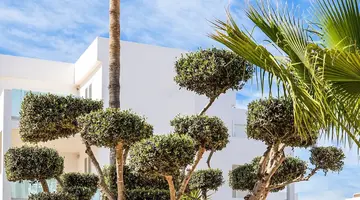Marsenses Ferrera Blanca Hotel Family