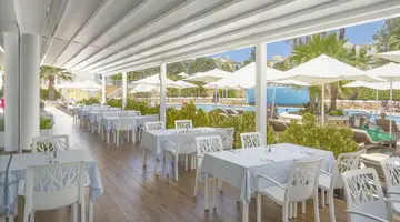 MarSenses Paradise Club