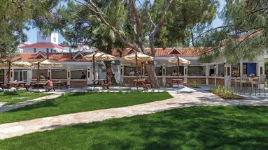 MARTI MYRA