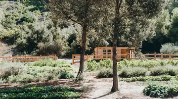 Maslina Resort
