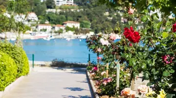 MASLINICA Narcis Hotel