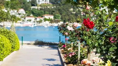MASLINICA Narcis Hotel