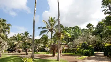 MASON ELEPHANT PARK & LODGE