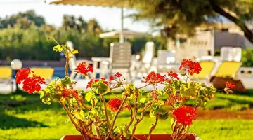 Matzi Hotel Apartments