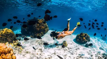 Mauritius: Siedem Kolorów Raju