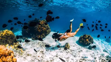Mauritius: Siedem Kolorów Raju