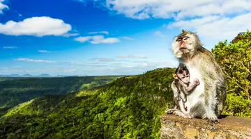 Mauritius: Siedem Kolorów Raju