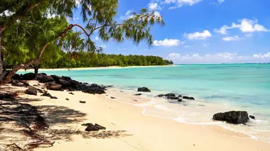 Mauritius: Siedem Kolorów Raju