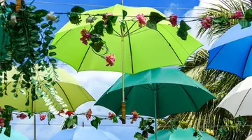 Mauritius: Siedem Kolorów Raju