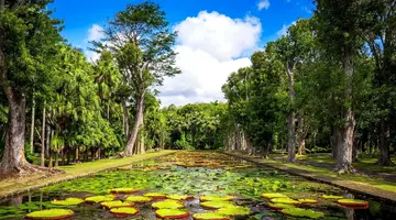 Mauritius: Siedem Kolorów Raju